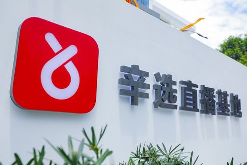 辛巴辛有志 以強大供應鏈體系構筑辛選護城河，賦能教育咨詢服務新生態